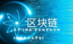 关于＂B特派＂平台的详细