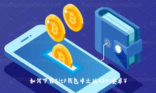 如何下载BitP钱包中文版APP（安卓）